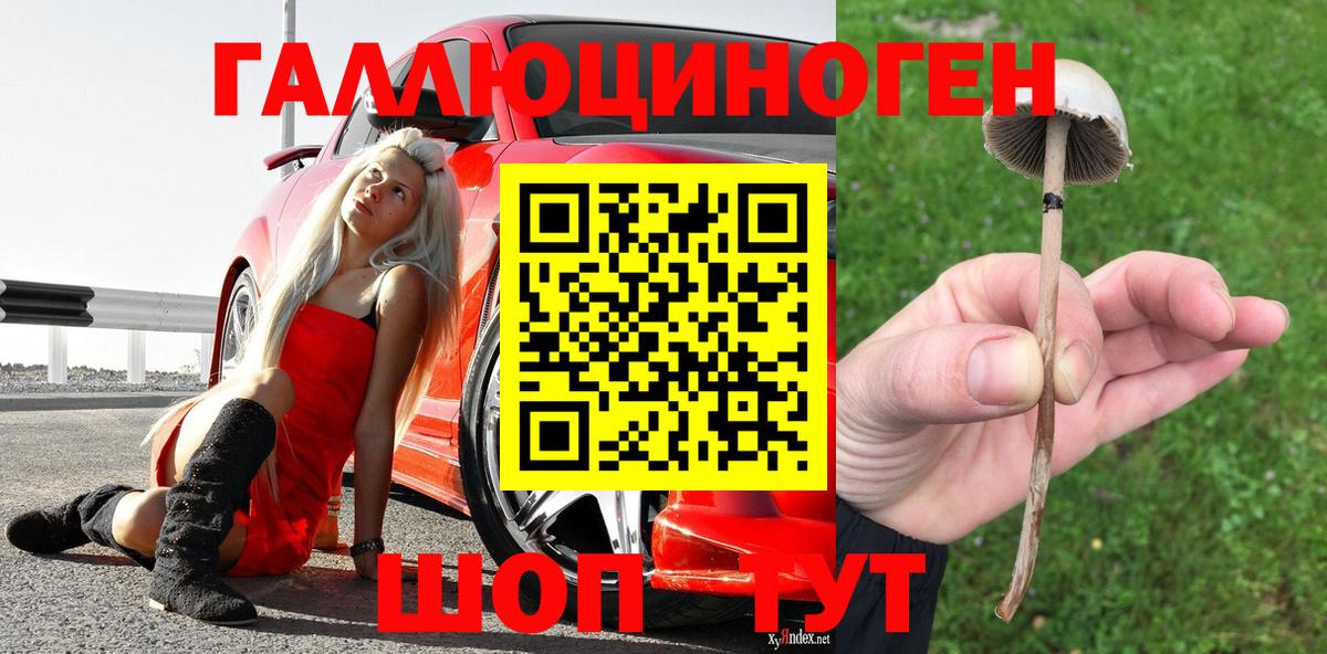 Галлюциногенные грибы мухоморы Ялуторовск